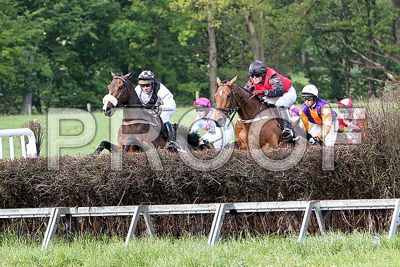 Race 6 Div 2 - Oldtown Road (22) PU, Rider J J Gault, Been a Long Time (2) 6th, Rider B F Brabazon, Gregg Boy (12) 2nd, Rider J Cresswell, Supitinye (27) 3rd, Rider P W Bartlett & Moneyba - CU2D9814-e