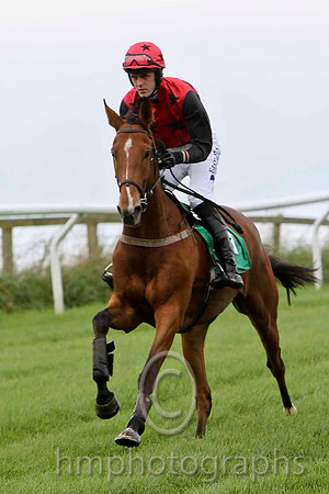 Garlough , Jockey andrew J McNamara - Unseated Rider- CU2D2215-e