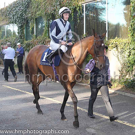 01 Fiesolana and W J Lee - - 01st (1 ,dark Blue, light blue cross sashes ) Trainer - W McCreery
