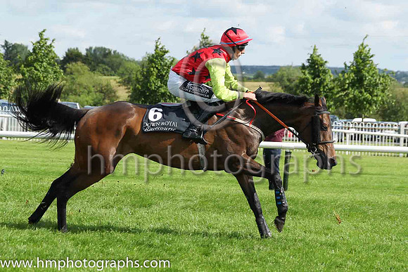 04th Presenting Meghan and E. Walsh(5) (6 ,red, black stars ), Trainer:D.M. Christie , Owner:Jason Trotter/William David Hogg