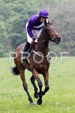 Budtairis , 4th, Jockey J J Codd - FT8E2686-e