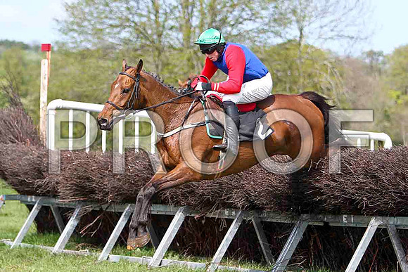 Glenariffe  - 2nd, Jockey J J Codd - FT8E2000-e