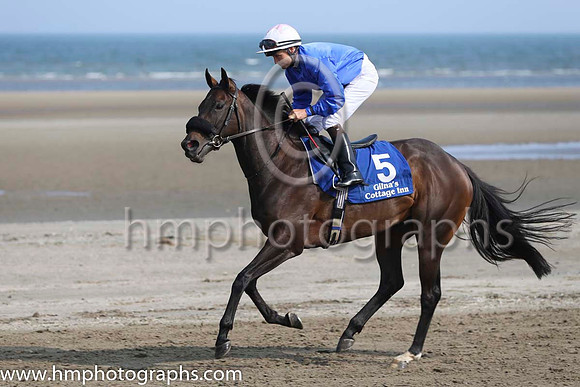 3 Acting Talent and N G McCullagh - - 3rd (5 ,royal blue, white cap ) Trainer - M C Grassick