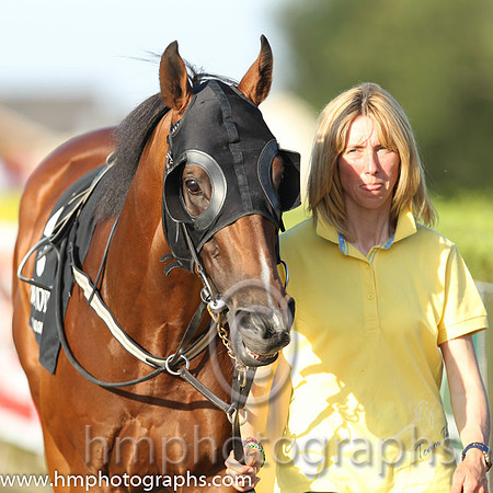 01 Fix It & Caroline Murtagh - winners (5, dark blue, mauve stars ) - CU2D8568