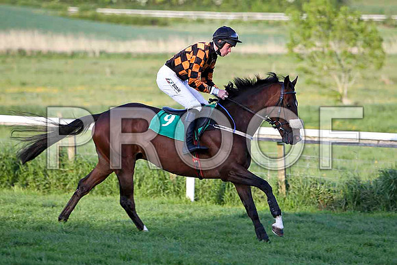Mister Philson , Fell, Jockey Derek O'Connor - FT8E3148-e