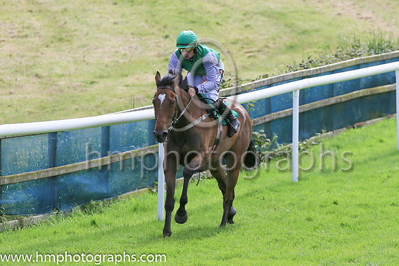 06th Florey Spud (5 ,emerald green ) Jockey: C J Orr ,Trainer: P F O'Donnell