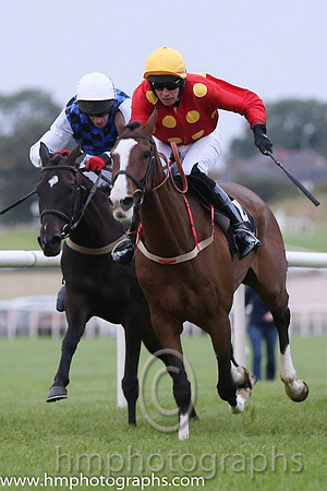 01 Our Sox and Mr S Clements - - 01st (4 ,red, yellow stars ) "