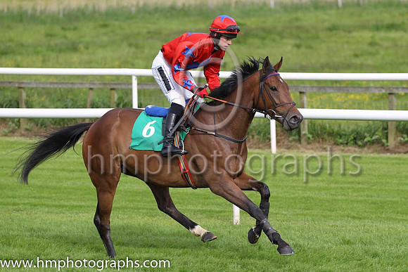 09 DushyDancer & I J McCarthy - 9th (6, red, blue star ) - FT8E7471-16