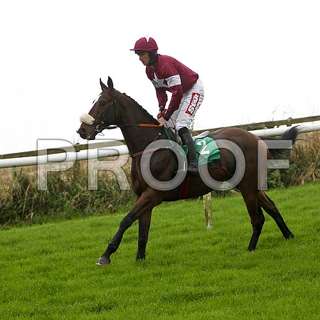 Rocky Wednesday , 4th , Jockey - D N Russell -  FT8E5135-e
