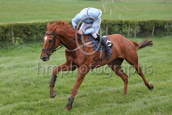 01st RAVENHILL ROAD and B G Crawford ( 5 , LIGHT BLUE,brown hoop; light blue sleeves; light blue cap ) Trainer: S.R.B. Crawford,, Owner : Alan Buchanan