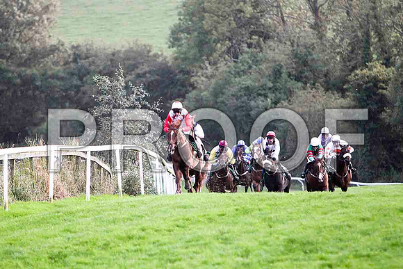 Bridgets Pet - Winner - FT8E5081-e