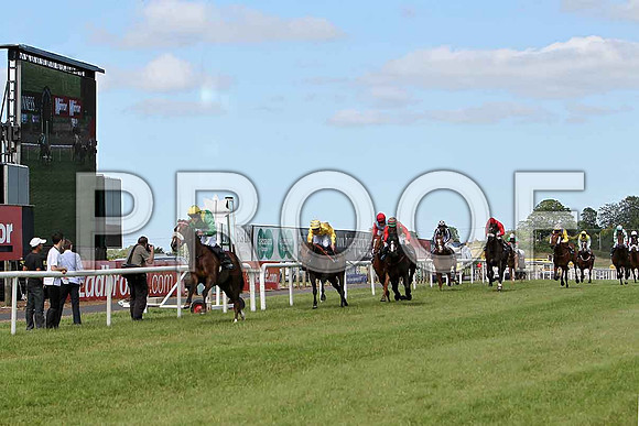 Spring Hawk winner, Jockey B A Curtis - CU2D0322-e2