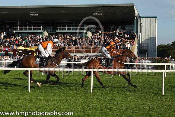 08th Iconography (FR) and H.C. Swan(7) (9 ,orange and black qtrs ), Trainer:Gordon Elliott , Owner:Ecurie Madame Lynne Maclennan