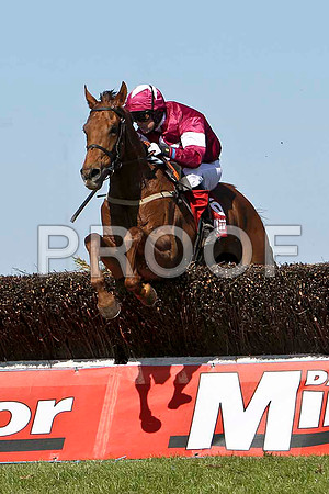 Politeo - Winner, Jockey M N Doran - FT8E2221-e2