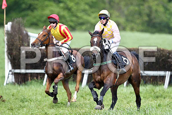 Fifth Race Div 1 - The Wee Girl (8) 2nd C McNally & Lady Shirley (6) 3rd, Rider B G Crawford -FT8E0378-e