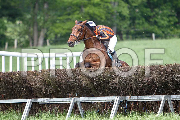 Fourth Race - The snuffler (15) 2nd, Rider B F Brabazon  - CU2D9627-e