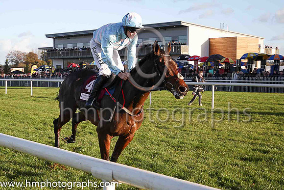 04th Sadler?s Risk and D J Mullins ( 4 , light blue, pink chevrons ) Trainer - H de Bromhead , Owner - R S Brookhouse