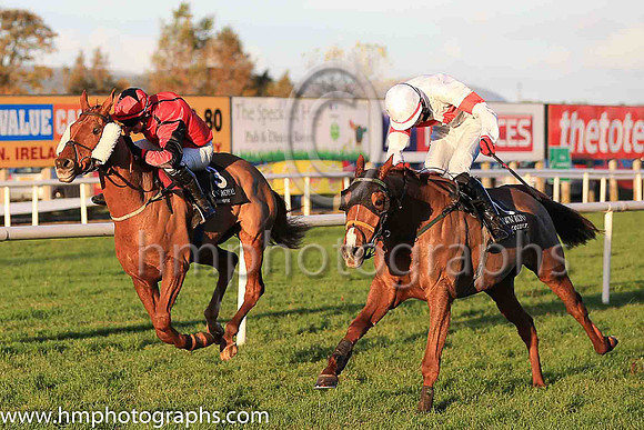 01st Tiger Sam and D Meyler ( 8 , white, red hoop ) Trainer - N Meade , Owner - Noel Meade