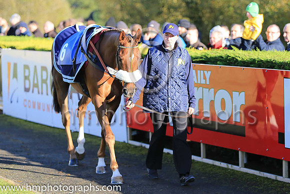 05th The Last Samuri and D Bass ( 6 , dark blue and yellow qtrd ) Trainer - K C Bailey , Owner - Paul  Clare Rooney