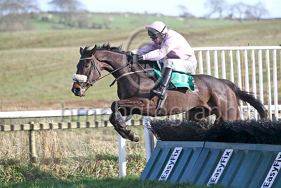 Pink Goddess (11) & K Whelan - 2nd - FT8E9843-e