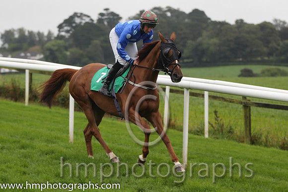 07 Shabra Charity &amp; M Bolger - 7th(7,blue, turquoise spots)