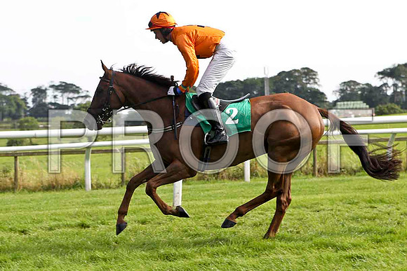 Green River Dancer , 6th Jockey Mr C Fahy - FT8E3156-e