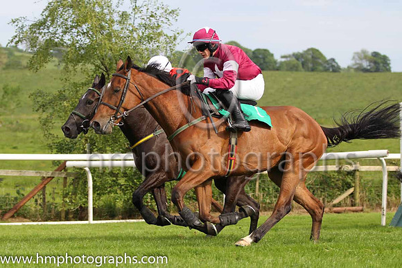 13 Rough Justice & P Townend - U (1, maroon, white star) - FT8E7510-49