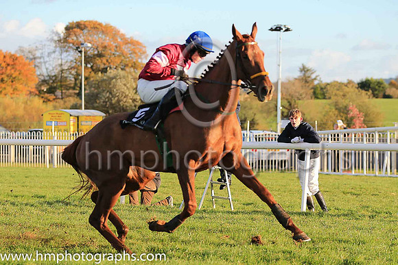 06th Net D'ecosse and Paul Townend ( 5 , maroon, white star, blue cap) Trainer - N Meade , Owner - Gigginstown House Stud