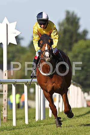 The Occupier 10th, Jockey P F Mangan - FT8E0943-e