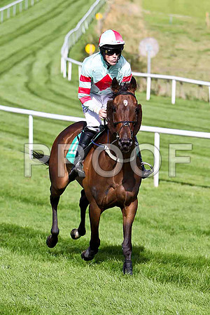 Uncommitted - winner, Jockey Andrew J McNamara- CU2D1778-e