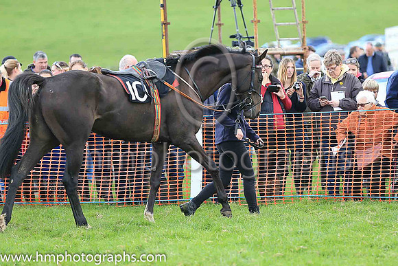 02nd STORM IN DECEMBER and R O'Harding ( 10 ,maroon, white sleeves ) Trainer: John Joseph Hanlon,, Owner : Syndicate Forever Never