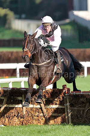 Oscars Well , 3rd , Jockey R M Power - CU2D9717-e3