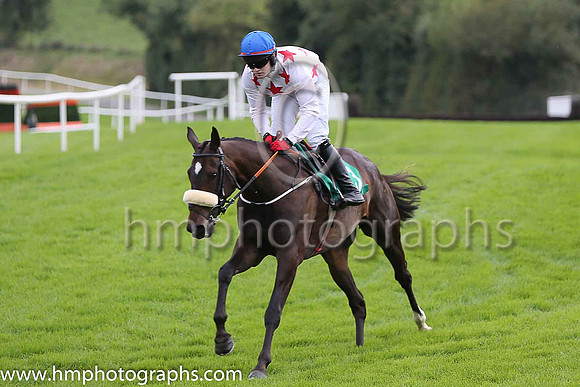 05th Master Bones and K C Sexton ( 3 , white, red stars ) Trainer - Peter Fahey , Owner - Mrs B Howard