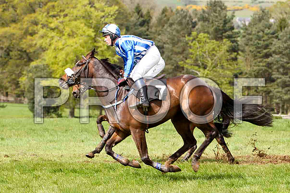 Mourne Paddy - Unplaced, Jockey J D Moore -FT8E2059-e