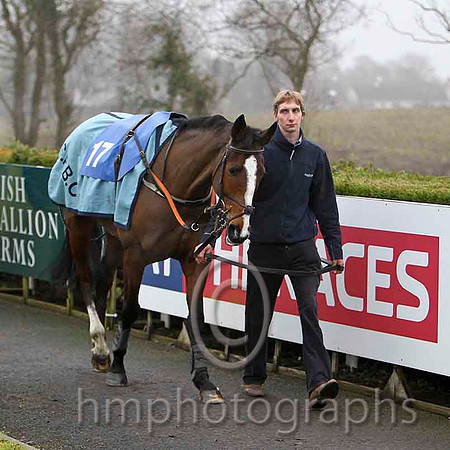 Connie De Mar - Jockey Mr R M Johnston - 16th - CU2D1764-e