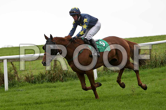 Moscow Towers , Jockey Mr S R Bryne - 7th - CU2D2280-e