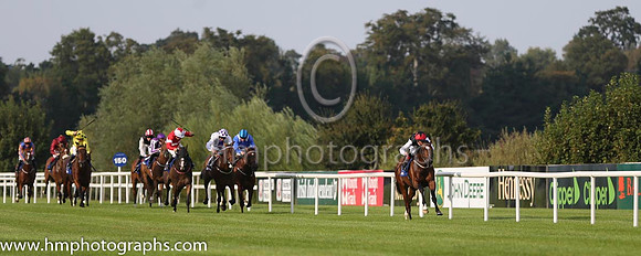 01 Free Eagle and P J Smullen - - 01st (7 ,black, white sleeves, red cap black star ) Trainer - D K Weld