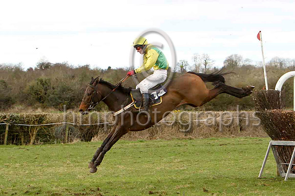Noah's Boy & N McParlan - 5th - FT8E0014-e