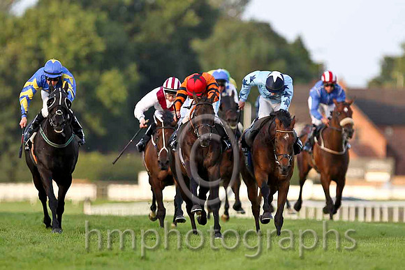 Windsor Pride & C D Hayes - Winner (12, Orange, Black star) - CU2D3435-e