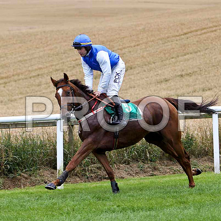 Better Back Bob - 6th , Jockey R C Colgan - FT8E3823-e