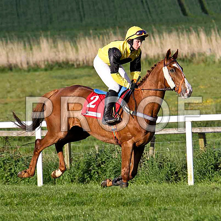 Ballito , U , Jockey Mr J Bolger - FT8E3061-e