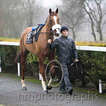 Couleur De La Loi - Jockey I J McCarthy - 11th - CU2D1752-e