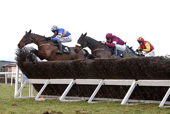 Dundrum (Blue with orange hoops) Winner , Jockey B J Geraghty - FT8E9959-e
