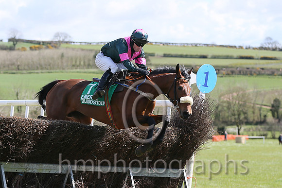 01st SHALUNA and R Deegan ( 7 , DARK GREEN,pink chevron; dark green,pink armlet sleeves; dark green cap,pink star ) Trainer: Aidan Fitzgerald,, Owner : Peter Stone