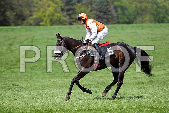 Knock A Hand , 2nd, Jockey - J J Codd - FT8E2034-e