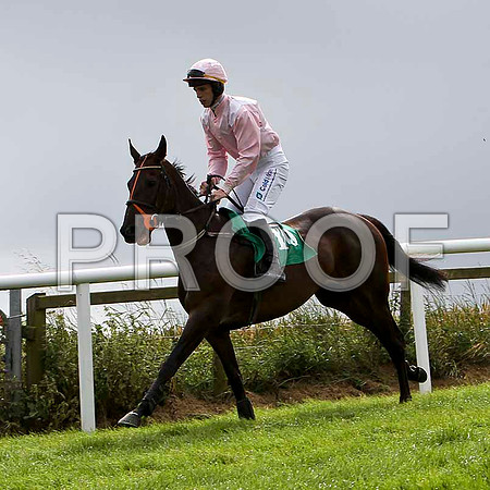 Pink Goddess - 4th , Jockey I J McCarthy - FT8E3859-e