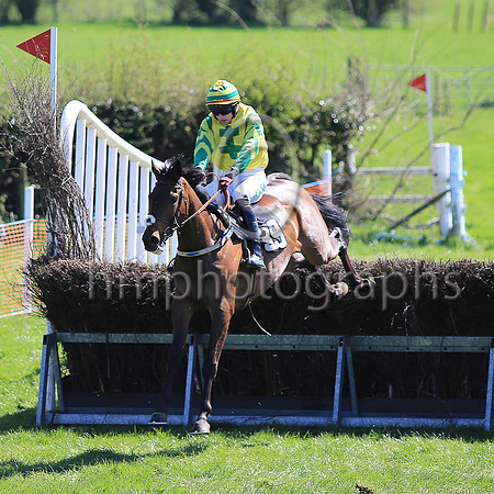 01st LECALE'S ARTICLE and D G Lavery ( 45 , YELLOW,emerald green cross of lorraine; emerald green sleeves,yellow chevrons; yellow  emerald green hooped cap ) Trainer: Patrick Eugene Turley , Owner :