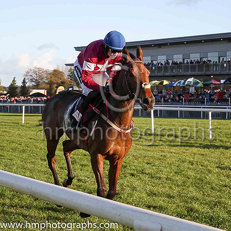 01st Valseur Lido and R Walsh ( 7 , maroon, white star, blue cap ) Trainer - H de Bromhead , Owner - Gigginstown House Stud