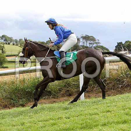 Lea Lady - 6th, Jockey Miss C L Fahey   - FT8E3869-e