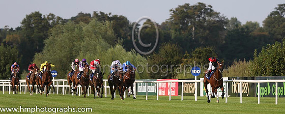 01 Free Eagle and P J Smullen - - 01st (7 ,black, white sleeves, red cap black star ) Trainer - D K Weld